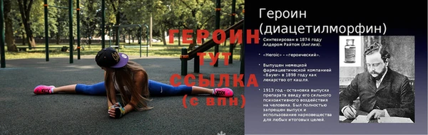 PSILOCYBIN Майский