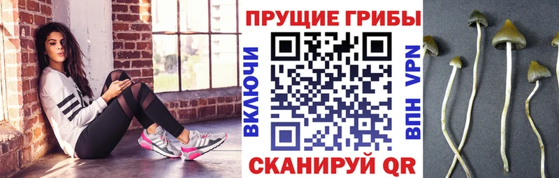 Псилоцибиновые грибы ЛСД продажа наркотиков Агрыз